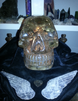 Hope the Citrine skull displayed on a table covered with a cloth with selenite wings and candle sticks